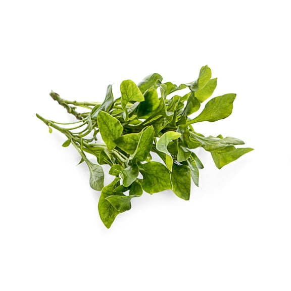 Cress Seeds, 200  Upland, Heirloom, Non GMO Seeds, Barbarea Verna