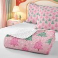 thumbnail image 4 of Manfei Vintage Christmas Animals Bed Spread Queen,Merry Xmas Queen Coverlet Set,3-Piece,1 Quilt and 2 Pillowcases, 4 of 7