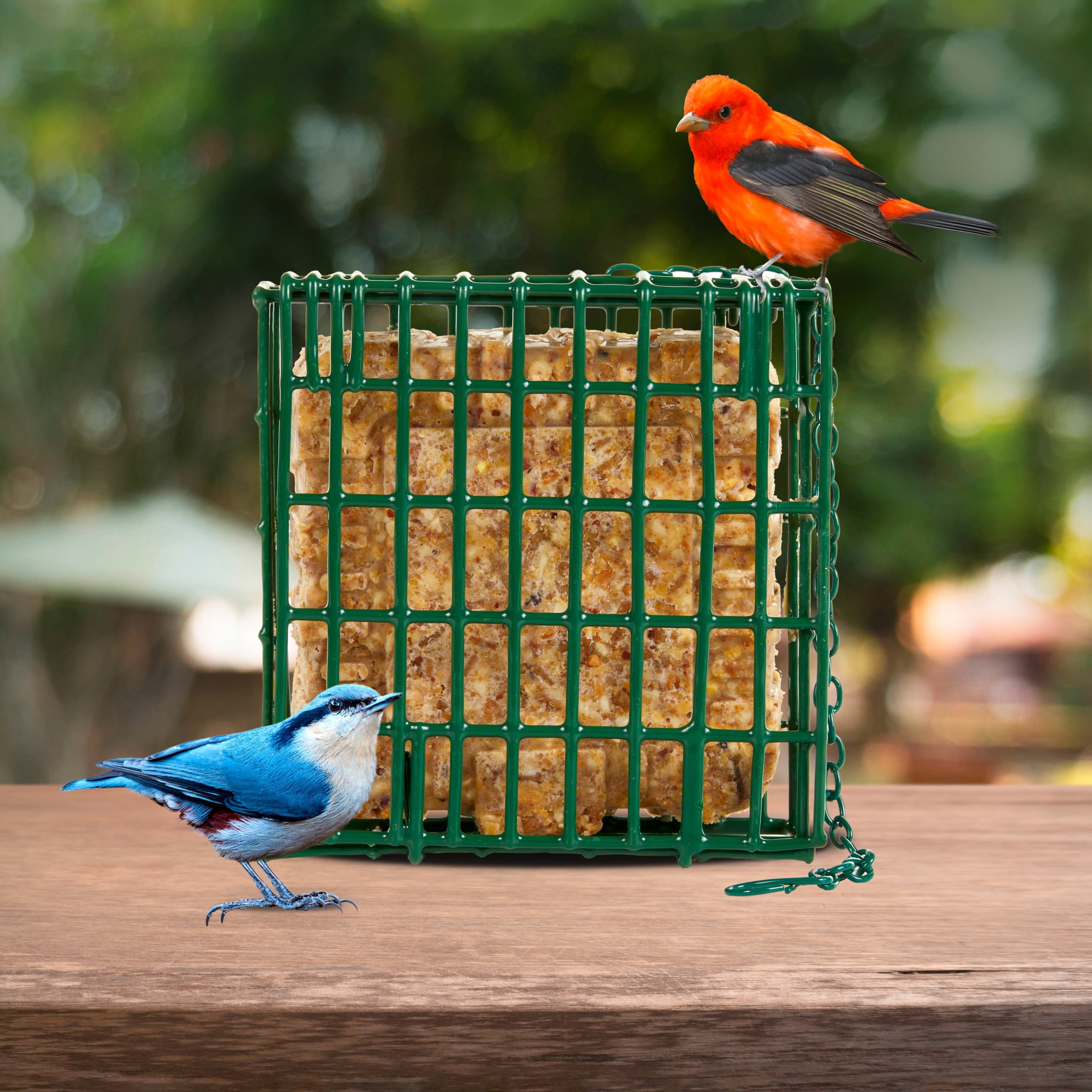 (2 pack) C&S EZ Fill Suet Basket, for Wild Bird Suet Cakes, 2" x 5.25" x 5.25"