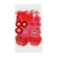 thumbnail image 1 of 1 bolsa de flores prensadas de hojas secas reales, flores prensadas de colores, margaritas para resina Rojo 19Pcs, 1 of 5