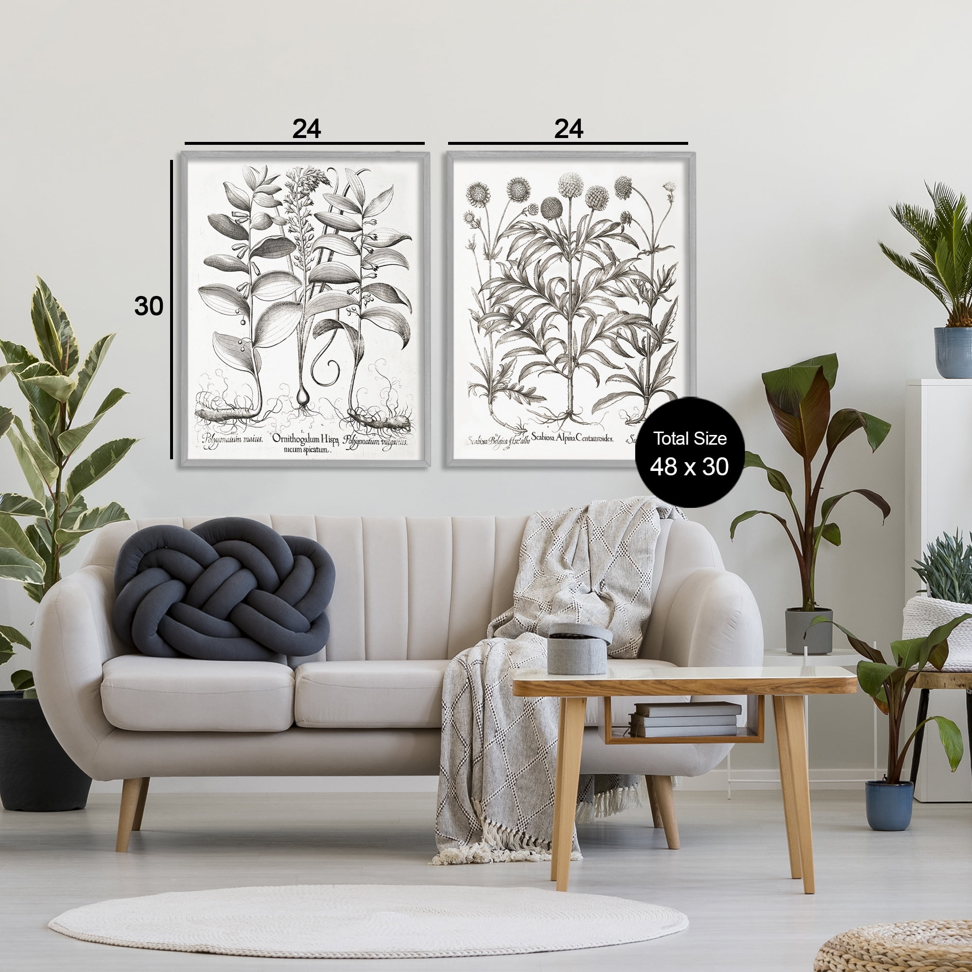 Botanical Root & Plant Studies 2 Piece Gray Framed Giclee Art Set, design by Lettered and Lined
