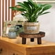 thumbnail image 5 of Soporte de madera para plantas SUREH, pequeño, redondo, para macetas, para uso interior y exterior, taburete de madera, soporte para plantas, decoración rústica., 5 of 7