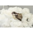 thumbnail image 3 of Exotic Nutrition All-Natural Nesting Material 4 oz., 3 of 3