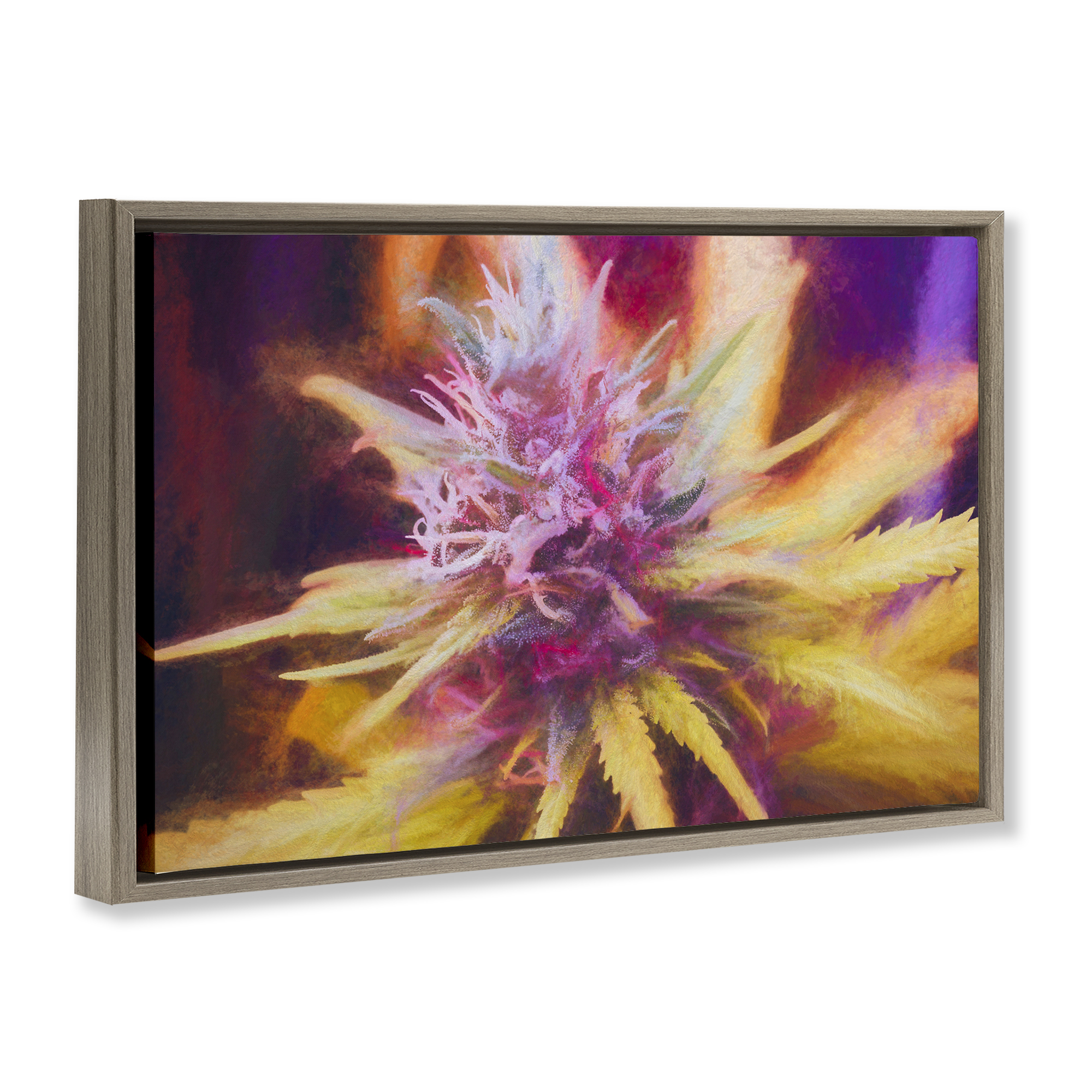 Stupell Industries Chalk Cannabis Flower Plants & Flowers Painting Brown Floater Framed Canvas Art Print Wall Art, 31 x 21