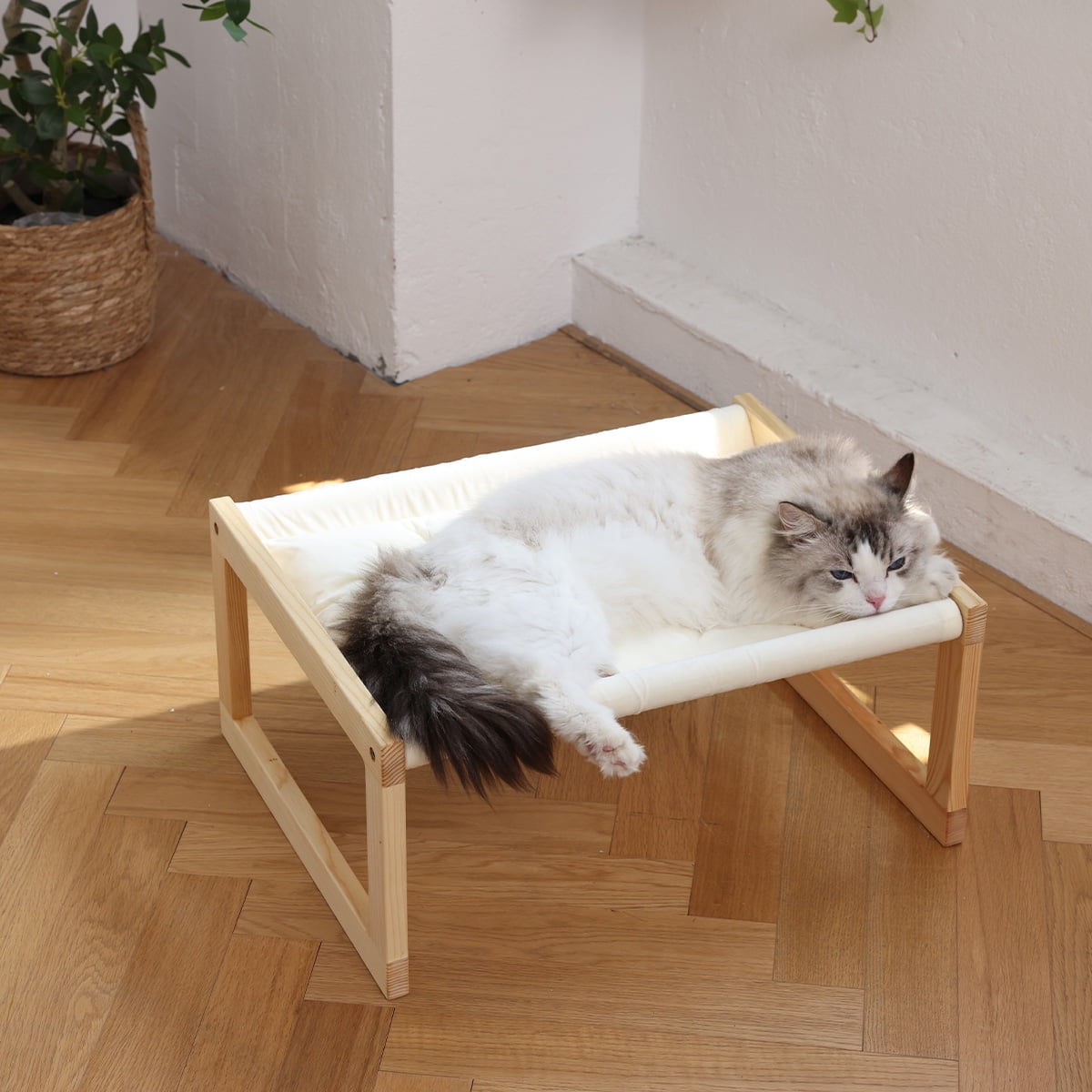 FUKUMARU Cat Bed, Elevated Puppy Bed with Removable Cozy Cover, White