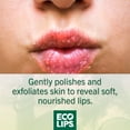 thumbnail image 3 of Eco Lips Organic Exfoliating Brown Sugar Lip Scrub 0.25, 3 of 6
