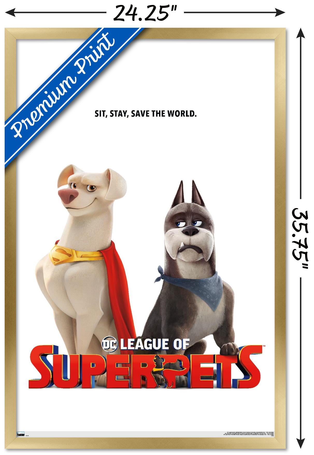 DC League of Super-Pets - Krypto and Ace Wall Poster, 22.375" x 34" Framed
