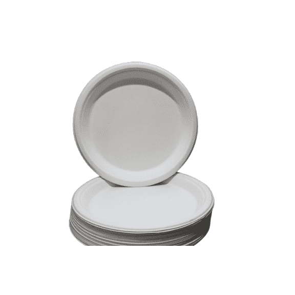 12" Round Plate, Compostable, Sugarcane Bagasse, Heavy Duty Disposable Plates for Party, BBQ, Picnic, Catering Pack of 100