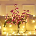 thumbnail image 4 of Lámpara de rama LED, 20 luces LED de hadas decorativas con batería cargada para la decoración de la habitación del hogar el día de Navidad Xemadio LL-2336-2, 4 of 7