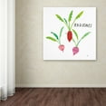 thumbnail image 3 of Trademark Fine Art 'Kitchen Garden VI' Canvas Art by Melissa Averinos, 3 of 3