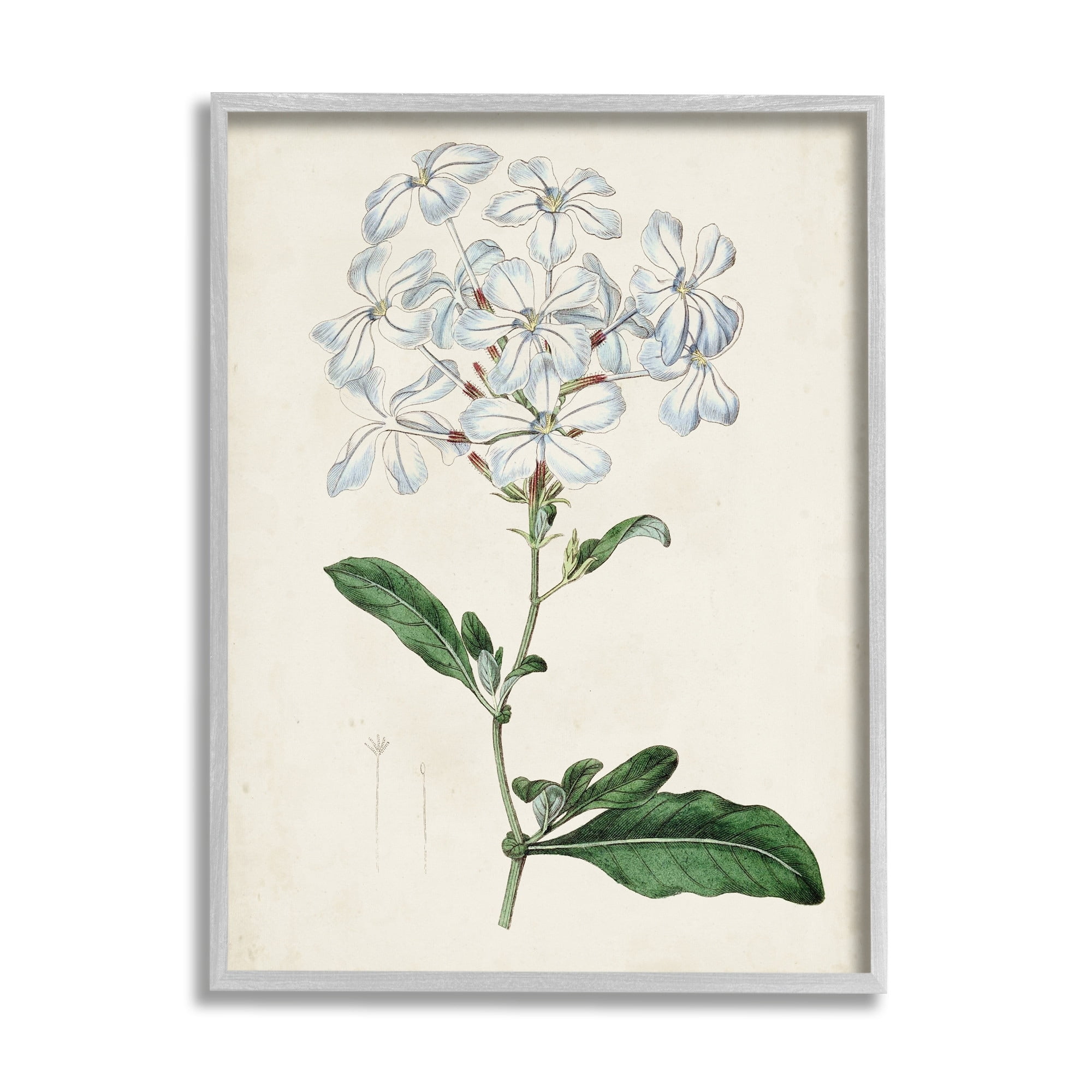 Rustic Garden Floral Study Charming White Blossoms 24 in x 30 in Framed Painting Art Print, by Stupell Home Décor