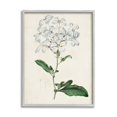 thumbnail image 4 of Rustic Garden Floral Study Charming White Blossoms 16 in x 20 in Framed Painting Art Print, by Stupell Home Décor, 4 of 4