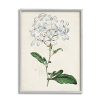 Rustic Garden Floral Study Charming White Blossoms 16 in x 20 in Framed Painting Art Print, by Stupell Home Décor