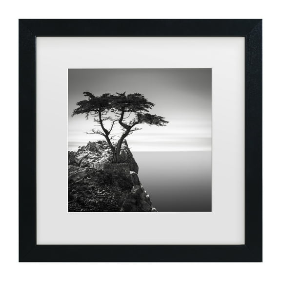 Dave MacVicar 'The Lone Cypress' Matted Framed Art