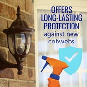 TERRO Spider Cobweb Repellent and Eliminator Spray, 32 Fluid Ounce