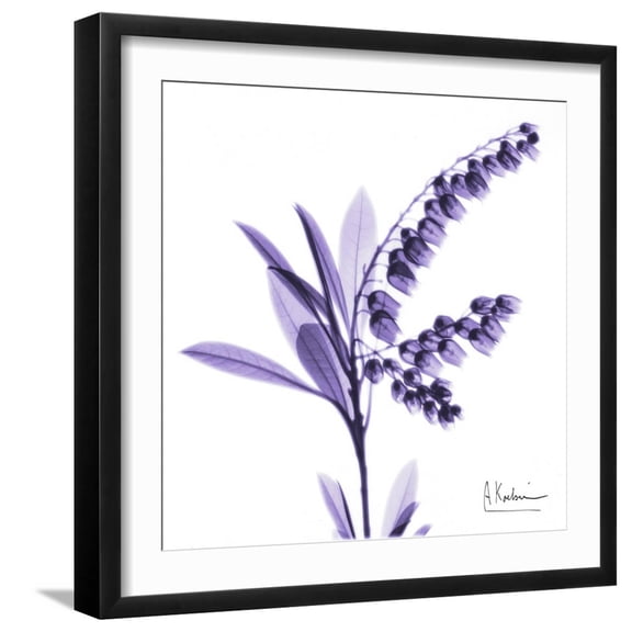 Art.com Lily of the Valley Art Print by Albert Koetsier, Black Frame Wall Art, 21" x 21"