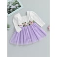 thumbnail image 4 of xiaxaixu Toddler Girls Princess Dress Long Sleeve Tulle Patchwork Spring Dress with Flower Decor, 4 of 8