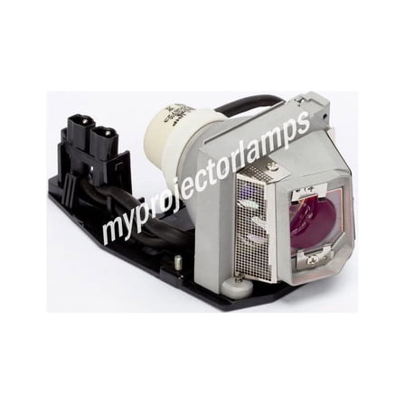 Dell 1510X Projector Lamp with Module