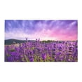 thumbnail image 2 of MKHERT Lavender Doormat Non-slip Bath Mat Floor Mat 30x18 inch, 2 of 3