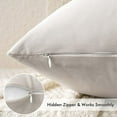 thumbnail image 3 of Knubmt Pack of 2 Velvet Throw Pillow Covers with Zipper, Soft Decorative Cushion Covers Square Pillow Cases for Couch Bed Sofa, 16x16 Inch, 3 of 8