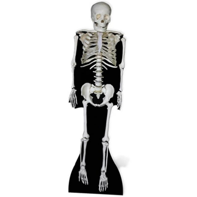 Star Cutouts SC160 Skeleton Cardboard Cutout Standup