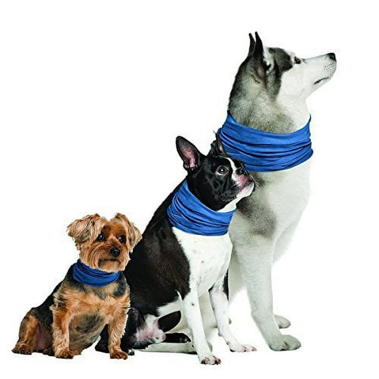 Novel KChill SM K9 Chill Dog Cooling Collar Small Medium Walmart