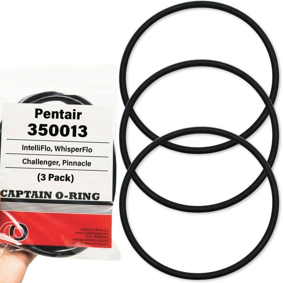 Captain O-Ring - 350013 Lid O-Ring - Compatible with Pentair IntelliFlo, WhisperFlo, Challenger and Pinnacle Pool and Spa Pumps 3 Pack