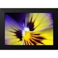 thumbnail image 2 of Schell, Jennie Marie 24x17 Black Modern Framed Museum Art Print Titled - Purple Pansy Macro Flower, 2 of 5