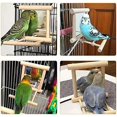 thumbnail image 4 of Juguete para pájaros para loros, periquitos, conures, cacatúas, jaula, columpio, juguete divertido de madera para pájaros, escalera de madera (espejo), 4 of 5