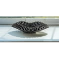 thumbnail image 2 of Black Marble Bowl | Marble Scalloped Bowl | Decorative Bowls for Home Decor | Marble Fruit Bowl | Decorative Bowl | Decorative Fluted Bowl | Scalloped Bowl | Stone Bowl (2 pieces of 12 inches), 2 of 9