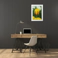thumbnail image 3 of Flaherty, Dennis 13x18 White Modern Wood Framed Museum Art Print Titled - Netherlands, Lisse Tulip variety, 3 of 4