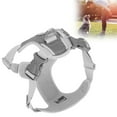 thumbnail image 3 of Dog Harness,No Pull Pet Harness With 2 Leash Clips, Adjustable Breathable Pet Harness With Reflective Trim Step In,Reflective Outdoor Pet Oxford Vest,for Cat Dog Outdoor Walking, 3 of 8
