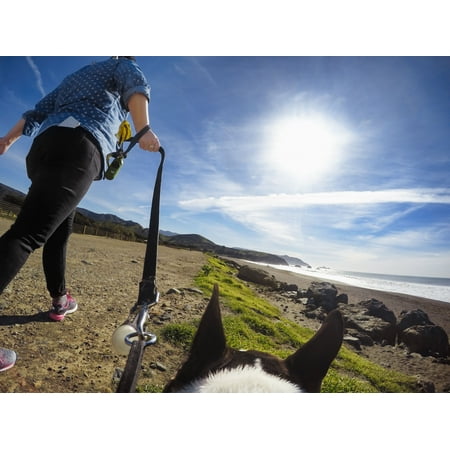 GoPro - Fetch Dog Harness