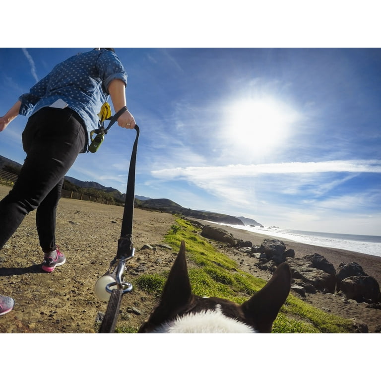 Adaptateur de harnais pour chien GoPro Fetch Vente en Ligne