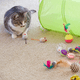 thumbnail image 5 of Juego de 21 piezas para gatos y gatitos, túnel plegable para gatos de interior, juguete de bola arrugada de ratón esponjoso MFZFUKR CPB-US-ZMR47-1, 5 of 5