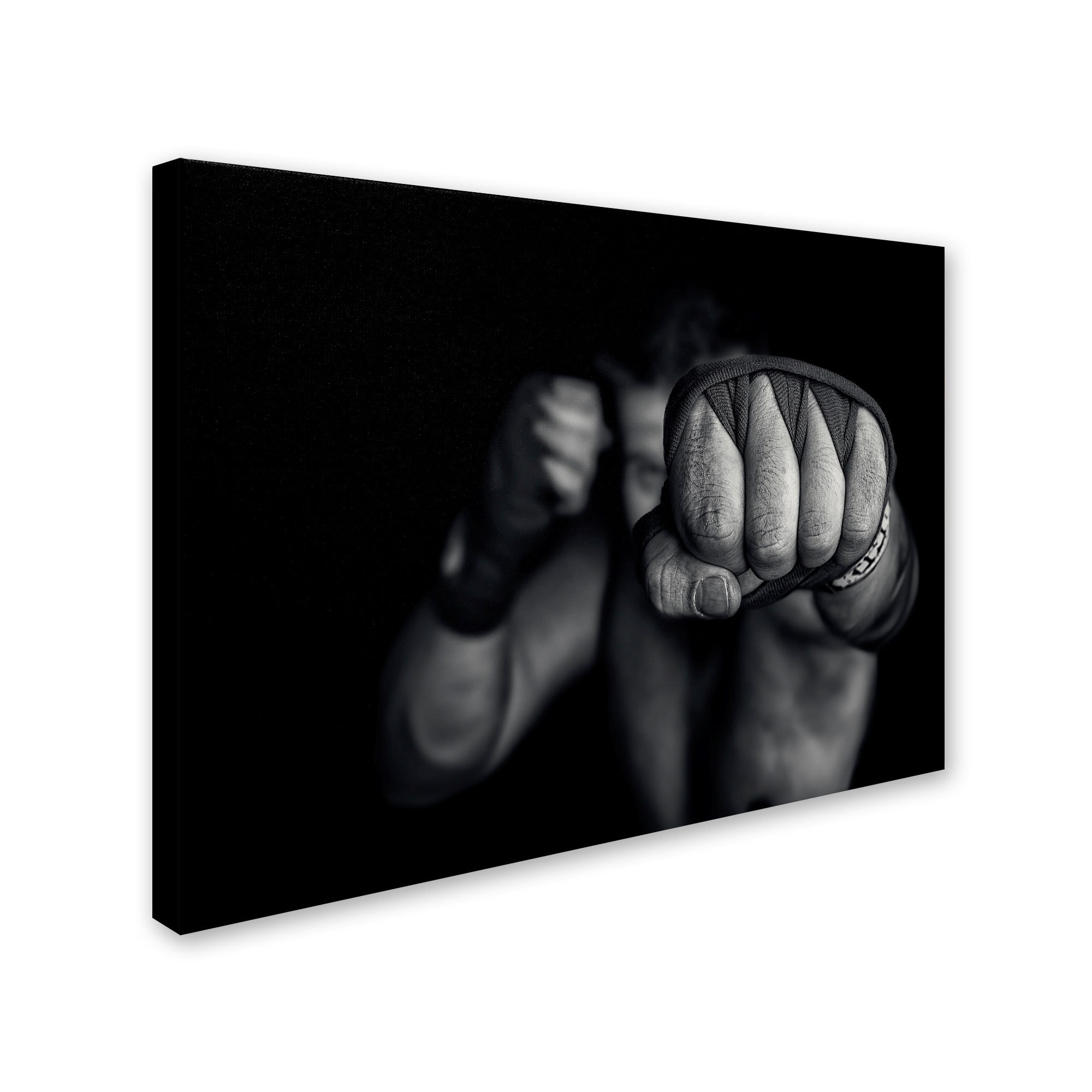 Adrian Vrican 'Left Wing' Canvas Art