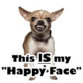 thumbnail image 3 of CafePress - This IS My Happy Face Ceramic Mug - 15 oz Ceramic Large White Novelty Mug, 3 of 4