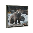thumbnail image 3 of Stupell Industries Grizzly Bear by Waterfall Animals & Insects Painting Gray Floater Framed Art Print Wall Art, 21 x 17, 3 of 9