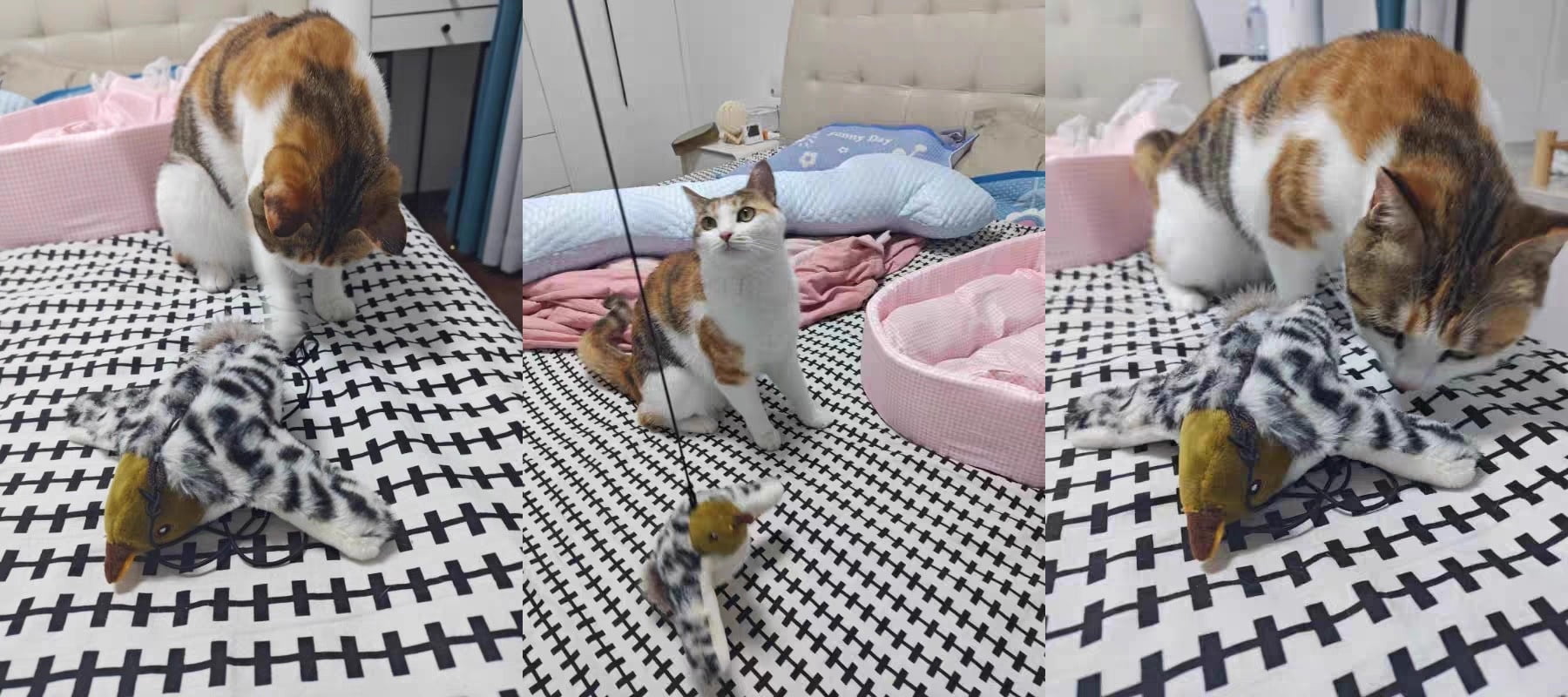 Flappy Flying Bird Cat Toy with Flapping & Chirping Sounds (NO Flying) – 2026 New Interactive Chirping Bird Cat Toy, Indoor Exercise Toy for Bored Cats