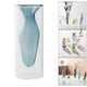 thumbnail image 5 of Elegante florero hidropónico novedad casa habitación adornos Zulema florero hidropónico, 5 of 8
