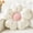 WHITE, variant on Soft Plush Daisy Flower Throw Pillow - Cozy Decorative Cushion for Bed & Sofa, White/Pink, Adorable Floral Desig