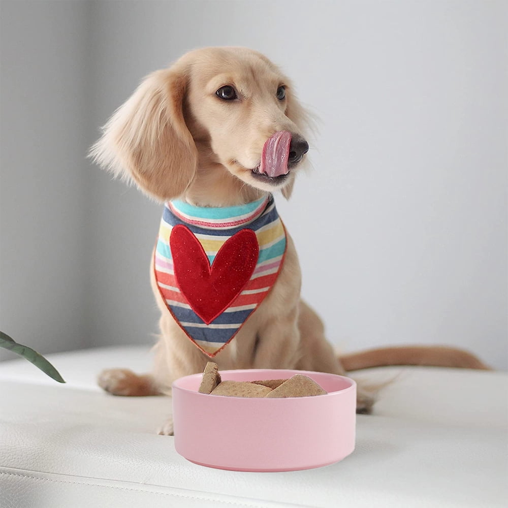 Ceramic Pet Bowl for Cats and Small Dogs,Non Slip Ceramic Cat Dish for Food and Water