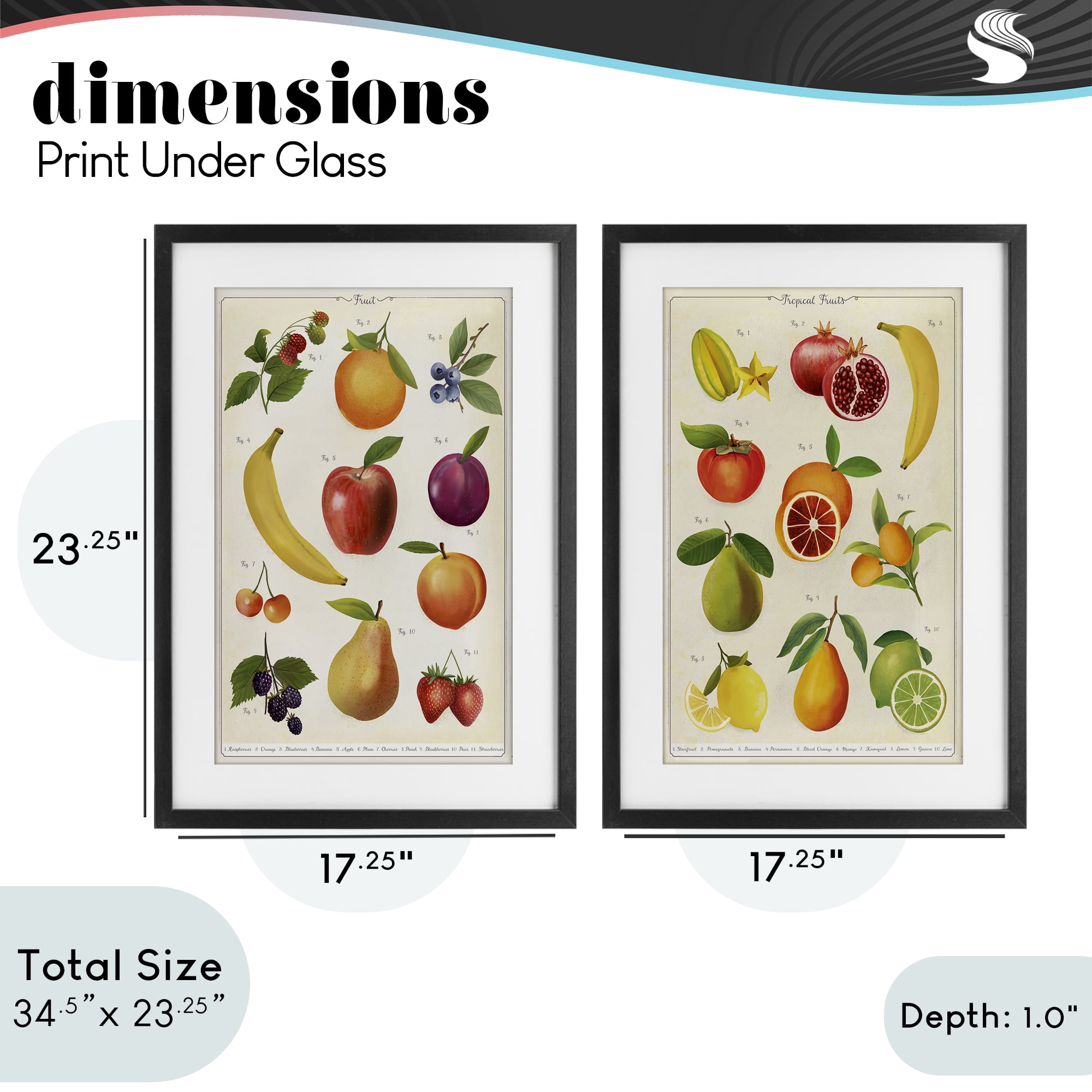Stupell Industries Kitchen Studies Fruit 2 Piece Black Framed Print Under Glass Set, design by Diane Neukirch