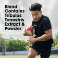 thumbnail image 5 of Optimum Nutrition, Tribulus 625 mg, 100 Capsules, 100 Servings, 5 of 7
