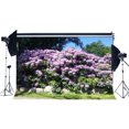 thumbnail image 1 of Telón de fondo ABPHQTO 150x220cm Fotografía Boda Flores frescas Árboles Sol Cielo azul Naturaleza, 1 of 2