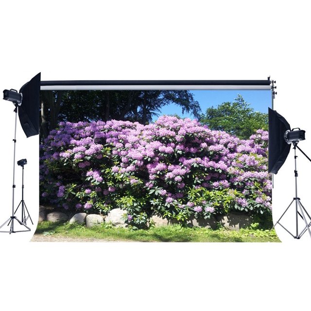 Telón de fondo ABPHQTO 150x220cm Fotografía Boda Flores frescas Árboles Sol Cielo azul Naturaleza