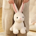 thumbnail image 2 of 20-40cm Hot Sale New Stuffed Soft Simulation Rabbit Plush Toys High Quality Cute Anime Doll For Girl Child Kid Surprise Giftlight brown20cm Deng Xun unisex, 2 of 2