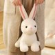 thumbnail image 2 of 20-40cm Hot Sale New Stuffed Soft Simulation Rabbit Plush Toys High Quality Cute Anime Doll For Girl Child Kid Surprise Giftlight brown40cm Deng Xun unisex, 2 of 2