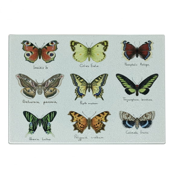 Butterfly Cutting Board, Watercolor Style Spring Insects Urania Helius Saturnia Pavonia Animal Design, Decorative Tempered Glass Cutting and Serving Board, Small Size, Multicolor, by Ambesonne
