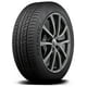 thumbnail image 1 of Llanta Delinte Desert Storm II DS8 245/30ZR22 95W XL, 1 of 1